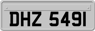 DHZ5491
