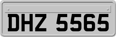 DHZ5565