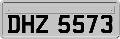 DHZ5573