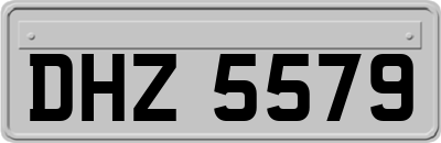 DHZ5579