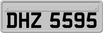 DHZ5595
