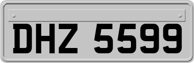 DHZ5599
