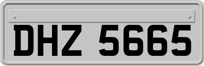 DHZ5665
