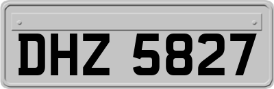 DHZ5827