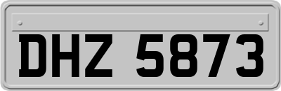 DHZ5873