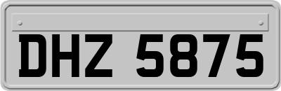 DHZ5875