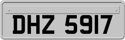 DHZ5917