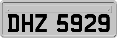 DHZ5929