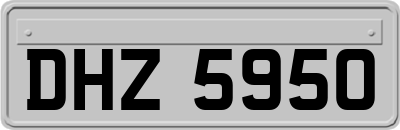 DHZ5950