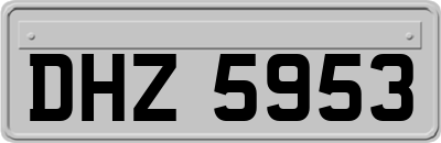 DHZ5953