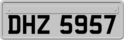 DHZ5957