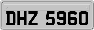 DHZ5960