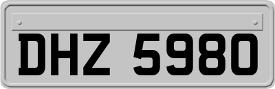 DHZ5980