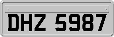 DHZ5987