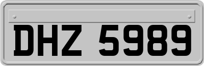 DHZ5989