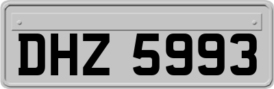 DHZ5993