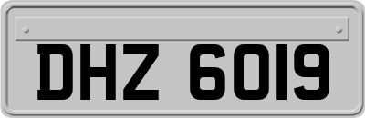 DHZ6019