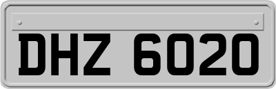 DHZ6020