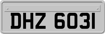 DHZ6031