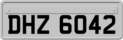 DHZ6042