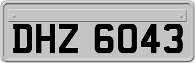 DHZ6043