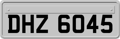 DHZ6045