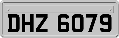 DHZ6079