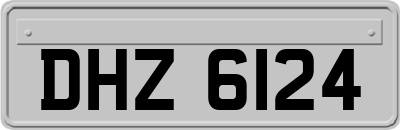 DHZ6124