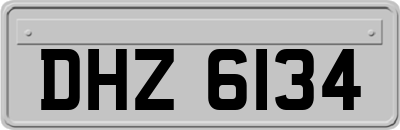 DHZ6134