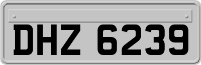 DHZ6239