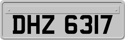DHZ6317