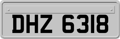 DHZ6318