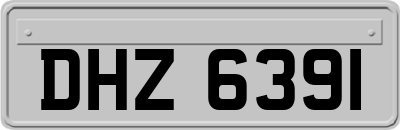 DHZ6391