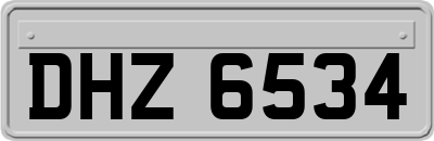 DHZ6534