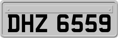 DHZ6559