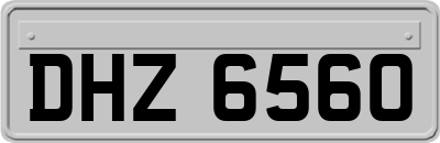 DHZ6560