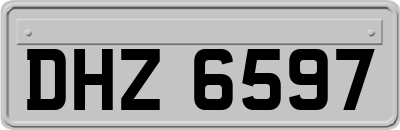 DHZ6597