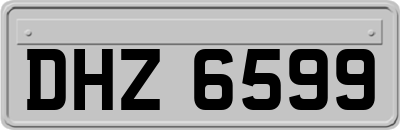 DHZ6599