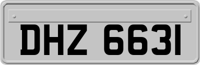 DHZ6631
