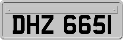 DHZ6651