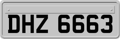 DHZ6663