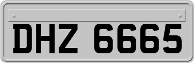DHZ6665