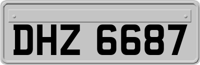 DHZ6687