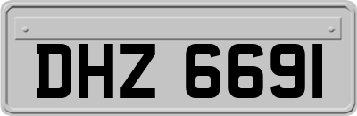 DHZ6691