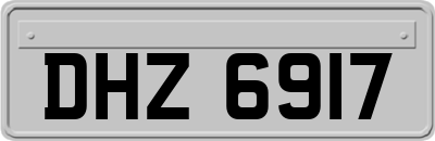 DHZ6917