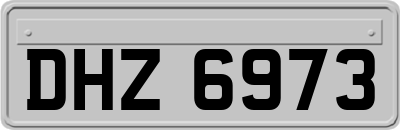 DHZ6973