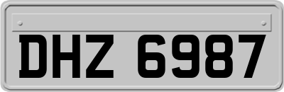 DHZ6987