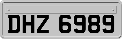DHZ6989