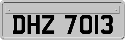 DHZ7013