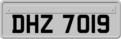 DHZ7019